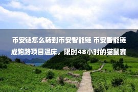 币安链怎么转到币安智能链 币安智能链成跑路项目温床，限时48小时的猫鼠赛跑，21个节点的开放金融迷局