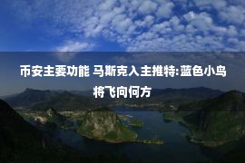 币安主要功能 马斯克入主推特:蓝色小鸟将飞向何方